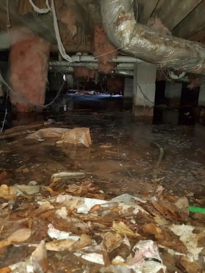 Crawl space flood assessment for Leak Detection & Repair in Wenatchee